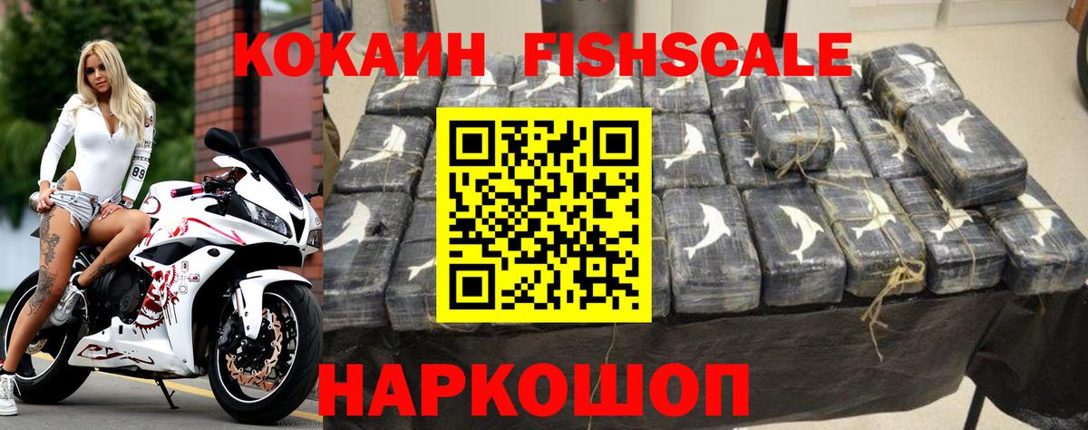 КОКАИН Fish Scale  Вход с VPN  Богданович  КОКАИН Fish Scale 