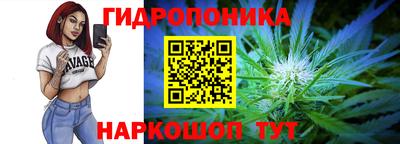 сатива Вышний Волочёк