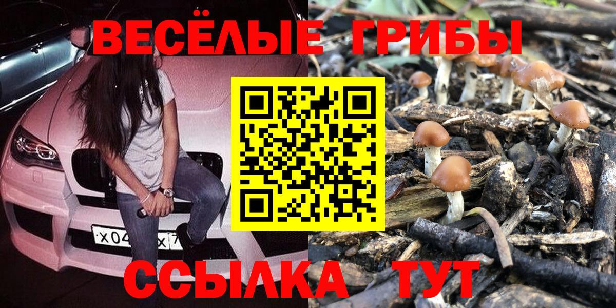 как найти закладки  Галлюциногенные грибы Cubensis  Вход с VPN  Богданович  Галлюциногенные грибы ЛСД 