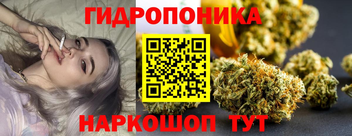 Шишки марихуана план Богданович